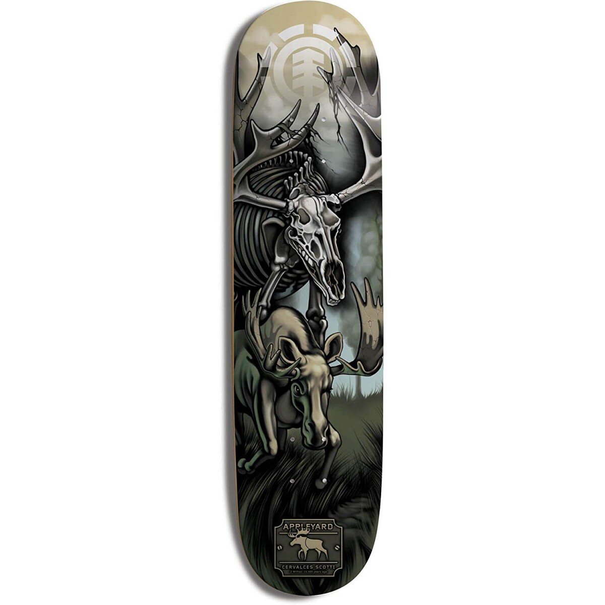 Deck ELEMENT Appleyard Cervalces Scotti 8.125" 