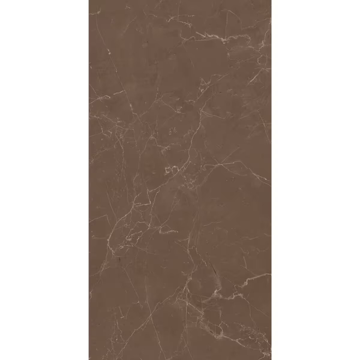 Porcelanato Lumina Bw Act 58,4x117 Cm Satinado Y Rectificado 