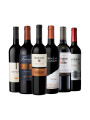 Pack Bacán Selección Bacanazo Fin de Año x6 vinos argentinos Pack Bacán Selección Bacanazo Fin de Año x6 vinos argentinos