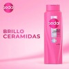 Shampoo Sedal Ceramidas 650 ml Shampoo Sedal Ceramidas 650 ml