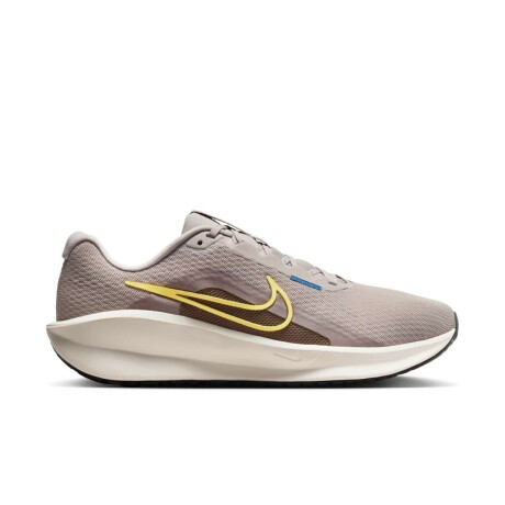 Championes Nike Downshifter 13 de Hombre Gris