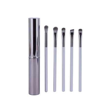 Brocha para ojos con estuche 5pcs plateado