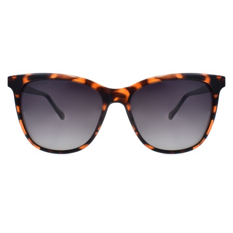 Lentes de Sol Chilli Beans Charlotte Cat Animal Print