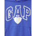 FA24 LOGO PO HOODIE MATISSE BLUE