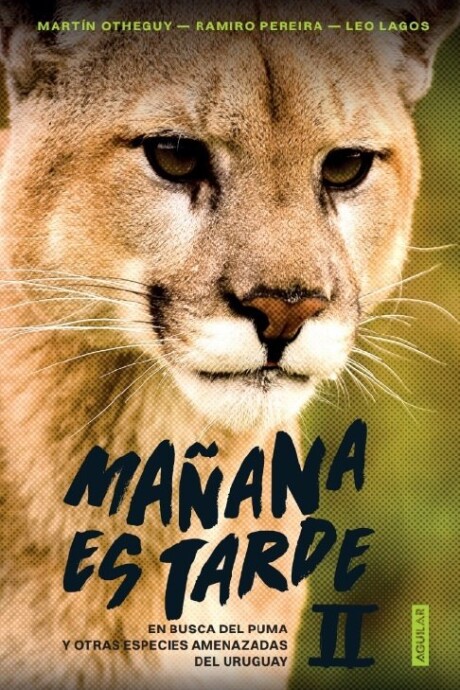 MAÑANA ES TARDE II MAÑANA ES TARDE II