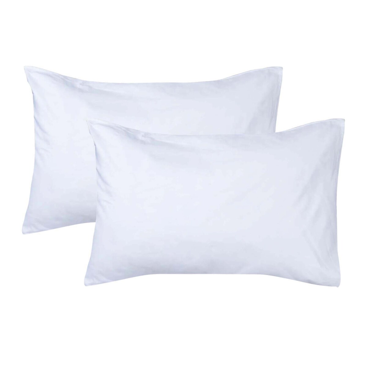 SET FDA. ALM - ALGODON BLANCO COTTON BASIC 180H 