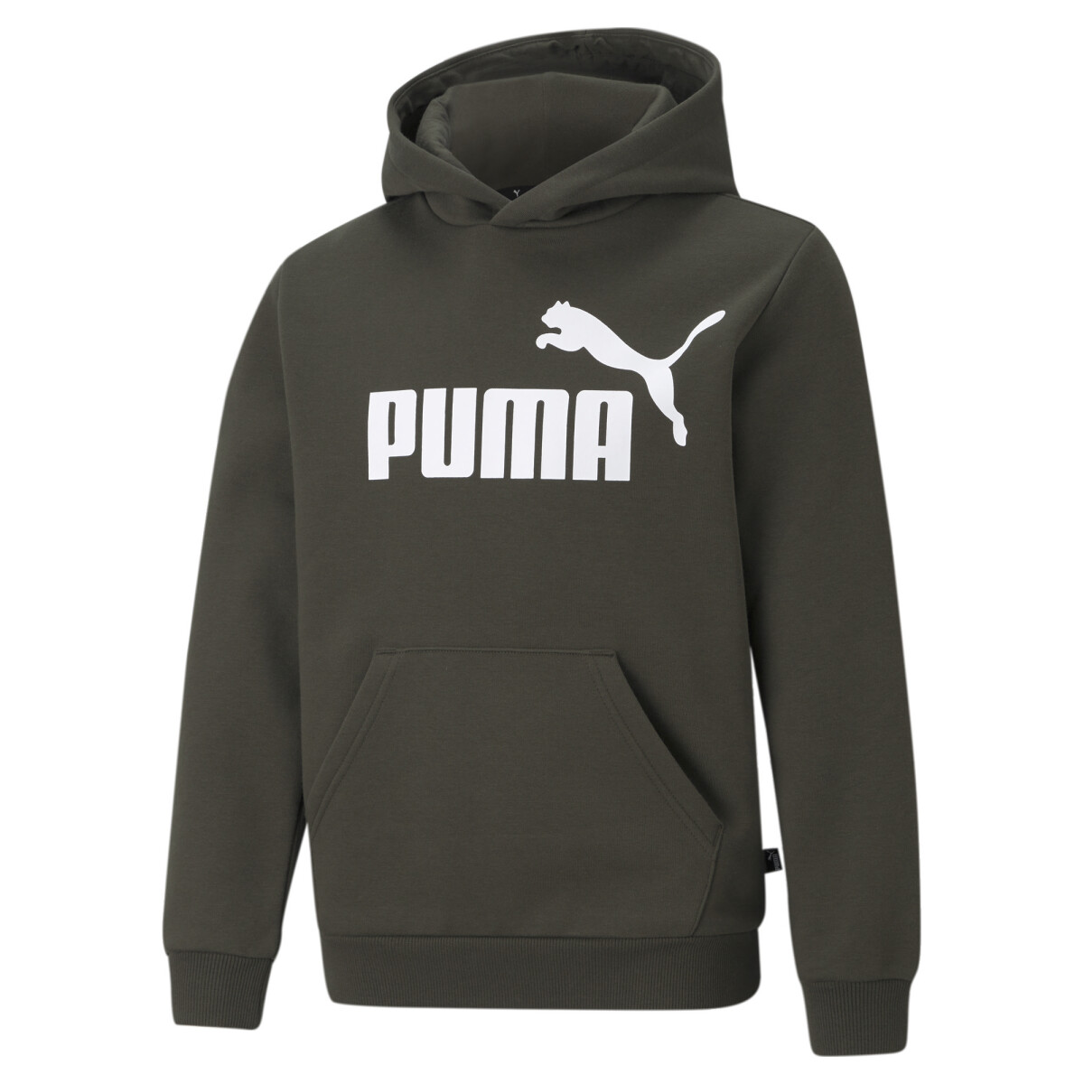 Buzo Puma Essentials Big Logo Hoody 