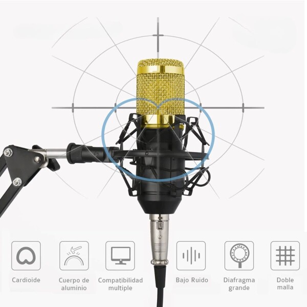 Microfono Condensador Kit Grabación Brazo Articulado Youtuber Gamer Pro Usb Imback Color Dorado Microfono Condensador Kit Grabación Brazo Articulado Youtuber Gamer Pro Usb Imback Color Dorado