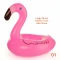 Inflable Posa Vaso Bebida Para Piscina Variedad Diseños Flamengo 1