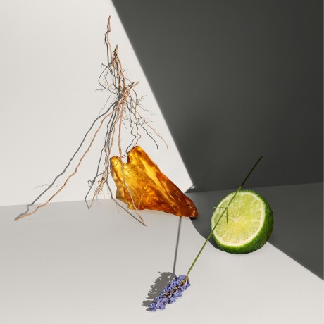 Perfume Calvin Klein Defy Edt 100ml Perfume Calvin Klein Defy Edt 100ml