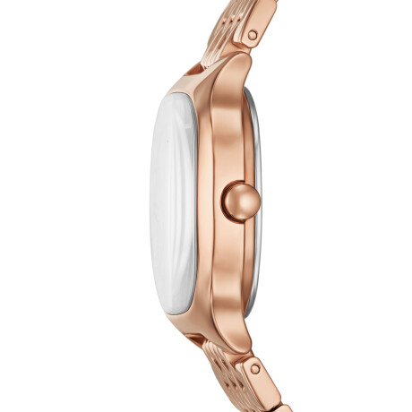 Reloj Skagen Traditional Oro Rosa 0
