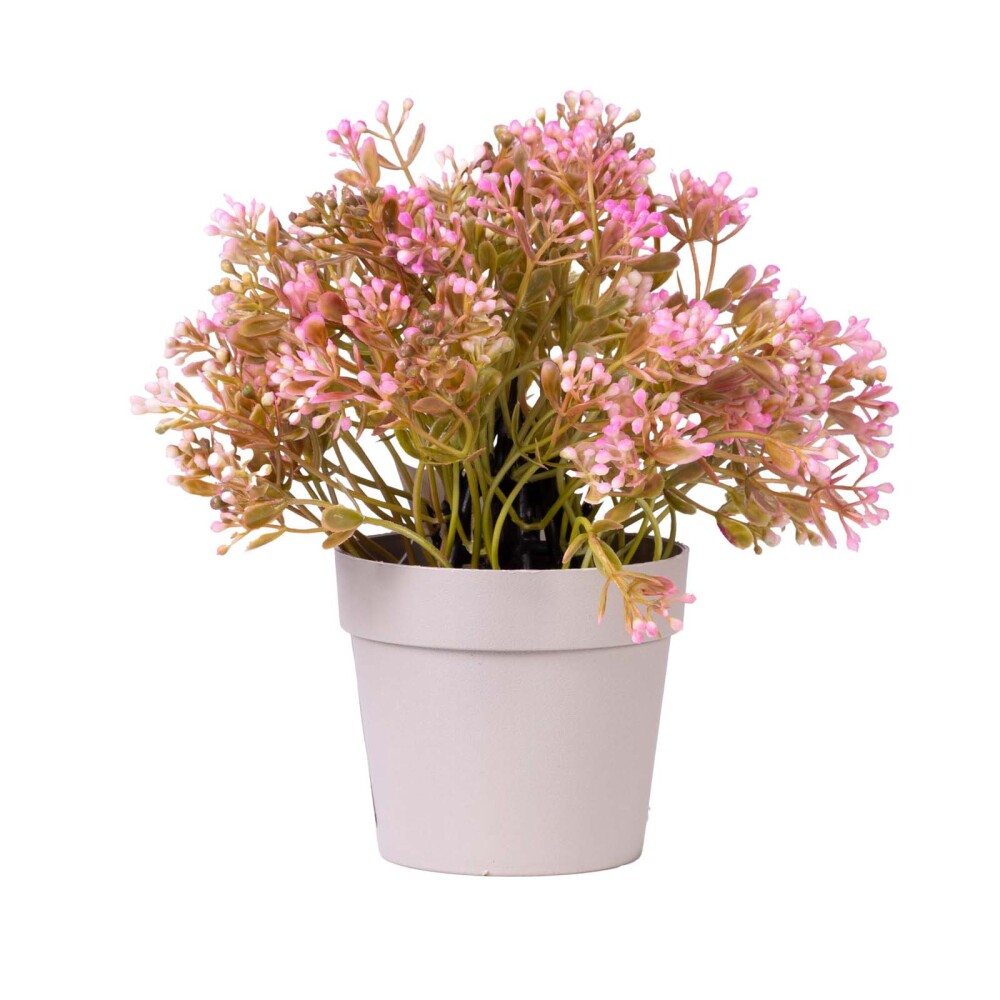 PLANTA GYPSOPHILA PLANTA-ARTIFICIAL ROSA 05523029