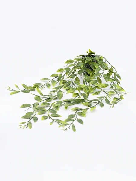PLANTA COLGANDE CON MACETA VERDE