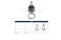 Rotula Del Hyundai I10, Kia Picanto 07-13 Der/Izq Rotula Del Hyundai I10, Kia Picanto 07-13 Der/Izq