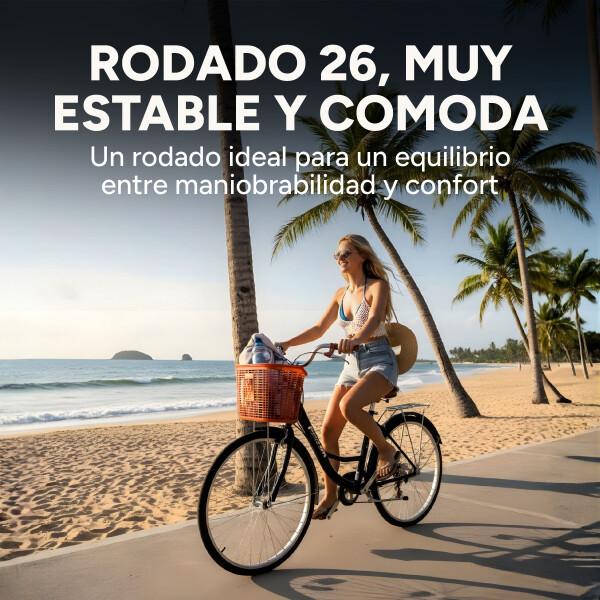 Bicicleta Pigewn Urbana Rodado 26 Canasto Freno Disco 7 Vel Color Negro