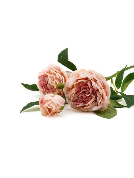 FLOR DE ROSAS ROSADO