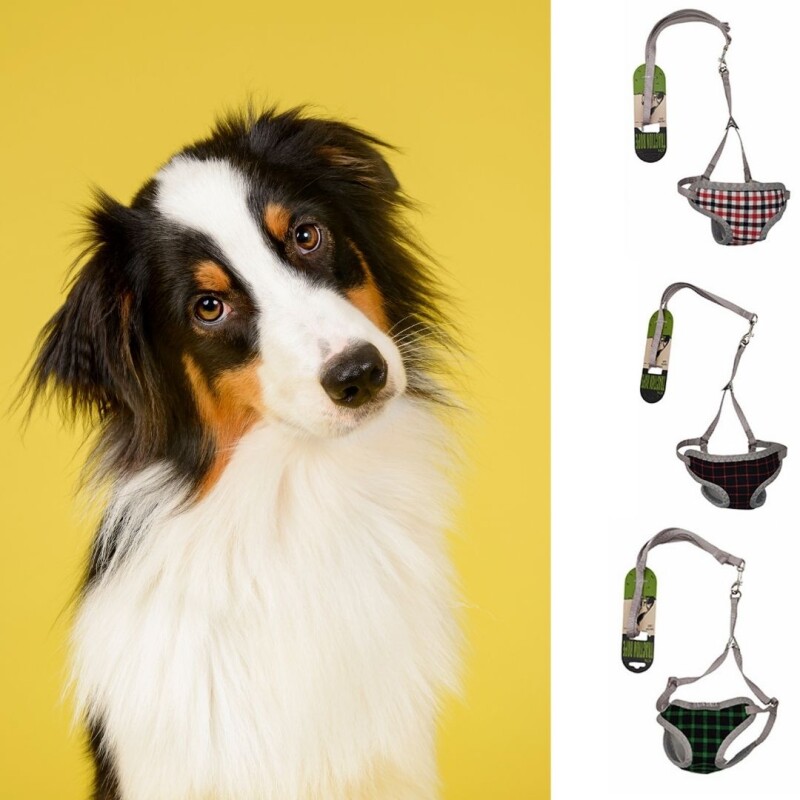 Arnés a Cuadros para Mascotas N/a