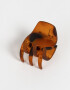 Broche Classic Broche - Marron Carey
