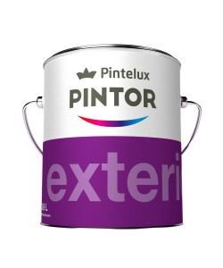 PINTOR PINTAFRENTES PREMIUM - 18 LTS. PINTOR PINTAFRENTES PREMIUM - 18 LTS.