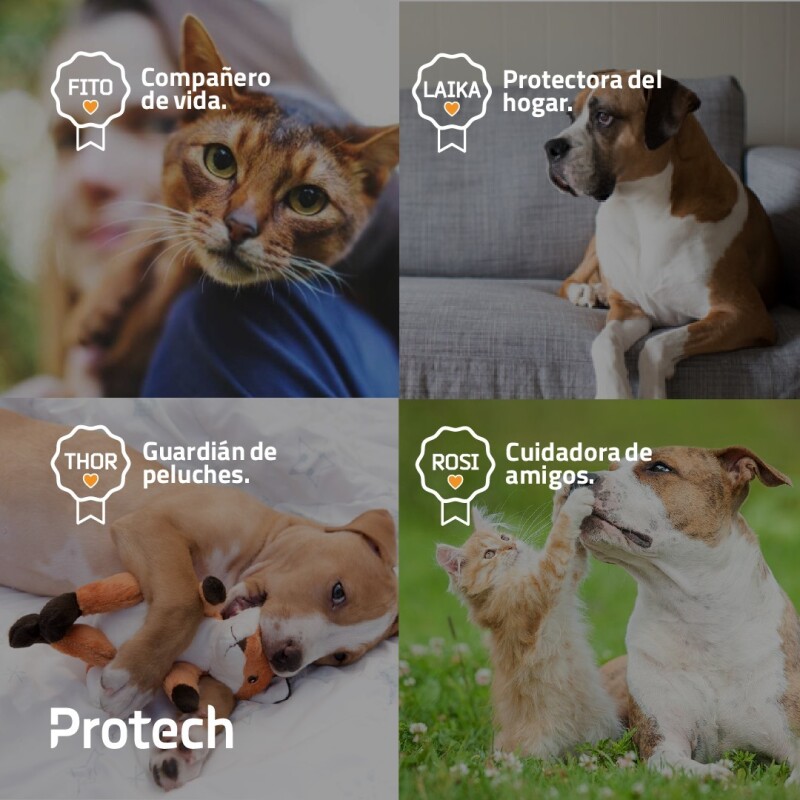 PROTECH PIPETA ANTIPULGAS Y GARRAPATAS CON ACCIÓN AMBIENTAL PARA PERROS DE 1 A 4 KG