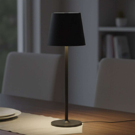 Lampara LED Recargable Portátil 36 cm Negro