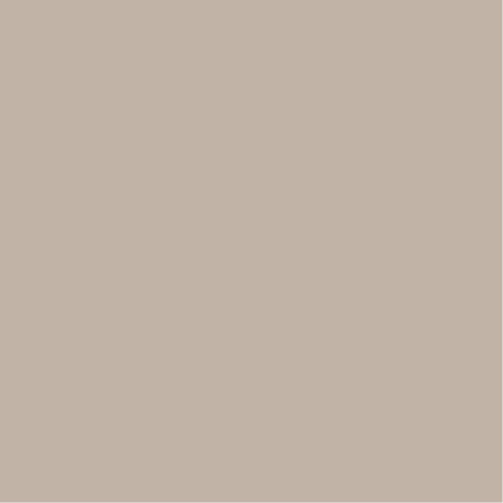 PASTINA ACRILICA BI-COMPONENTE BEIGE PARA PIEZA ABSORCION 000
