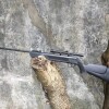 Chumbera Rifle 5,5mm Lb600 Chumbera Rifle 5,5mm Lb600