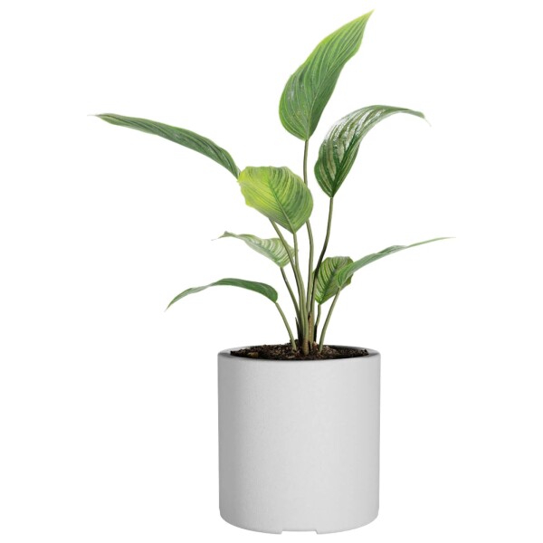 Macetero Cilindro 30 Blanco Alto 30cm x 30cm diametro, 20 lts Macetero Cilindro 30 Blanco Alto 30cm x 30cm diametro, 20 lts