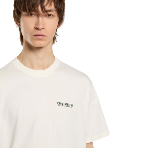 Remera Dickies Burns - Multicolor Remera Dickies Burns - Multicolor