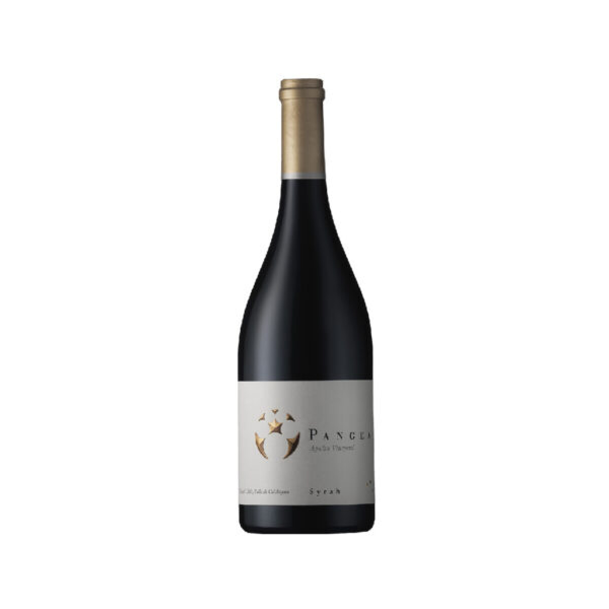 Ventisquero Pangea Syrah 750ml 
