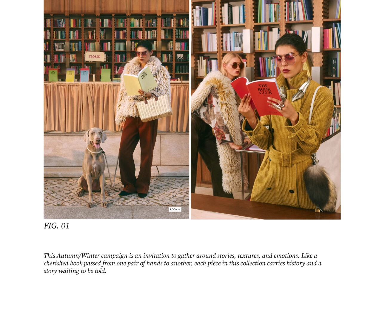 the-book-club-5.jpg