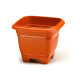 Set x3 maceta mediana cuadrada 4,3 lts TERRACOTA
