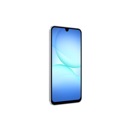 Samsung Galaxy A17 LTE 256 GB Gray
