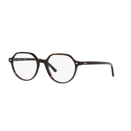 Ray Ban Rx5395 2012