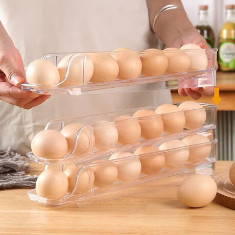 Huevera vertical con inclinación para 21 huevos Sc