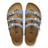Florida LEOI Basalt Gray Gray