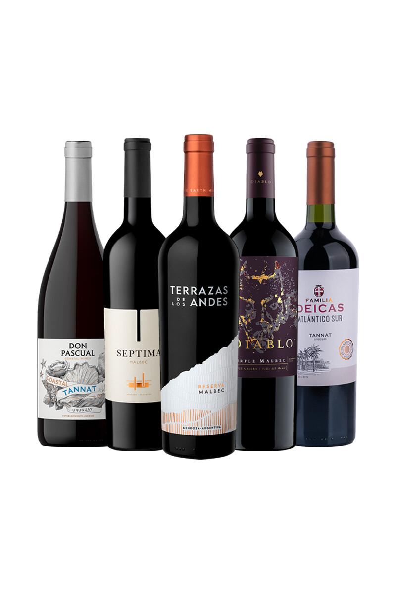 Pack Bacán Selección Mix de Cepas Protagonistas x5 vinos 
