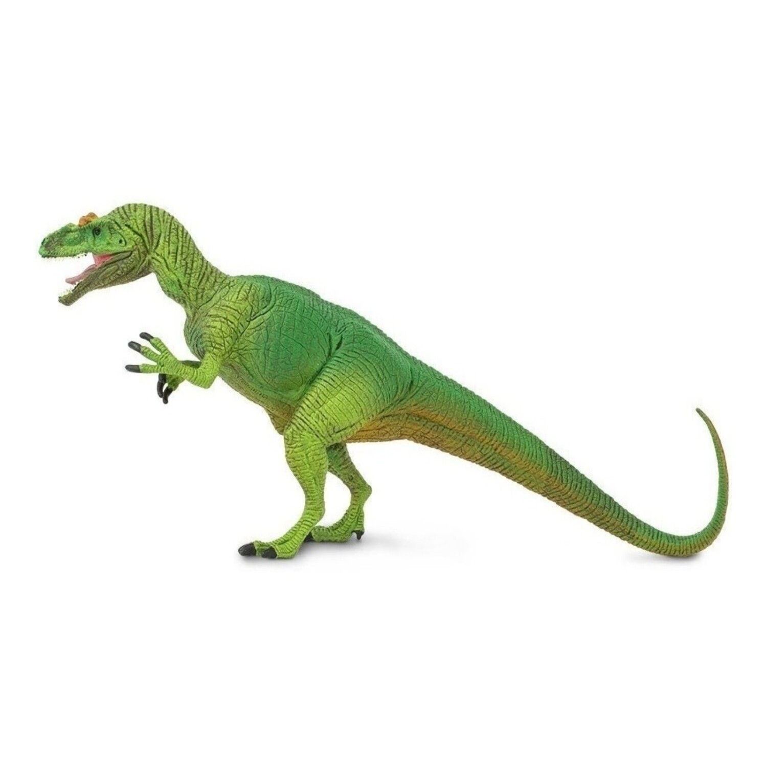Linterna Proyector Infantil Didactico 24 Imagenes Dinosaurio