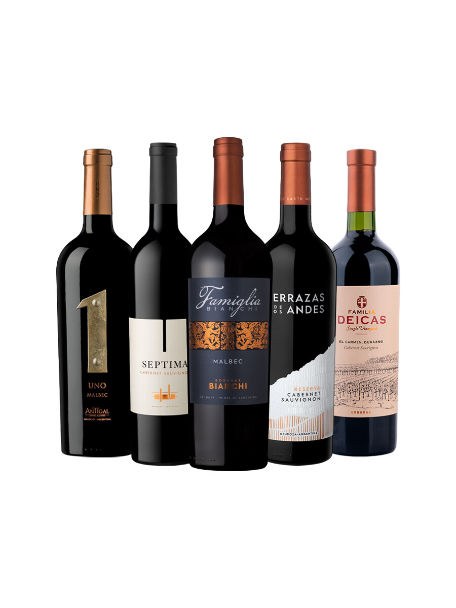 Pack Bacán Selección Elección con carácter x5 vinos Pack Bacán Selección Elección con carácter x5 vinos