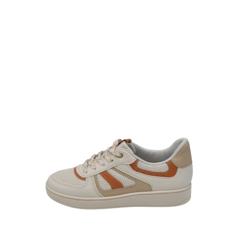 CHAMPION 36-40 WHITE/BRUL