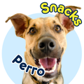 Snacks para perro