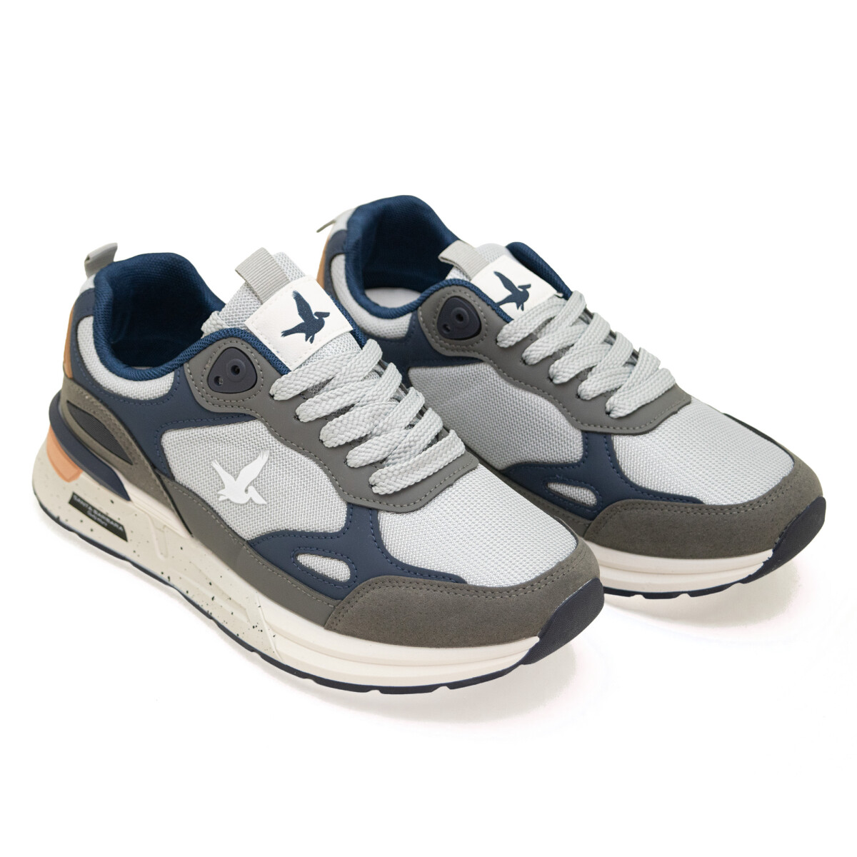 Championes Santa Barbara Roma de Hombre - Gris-marino 