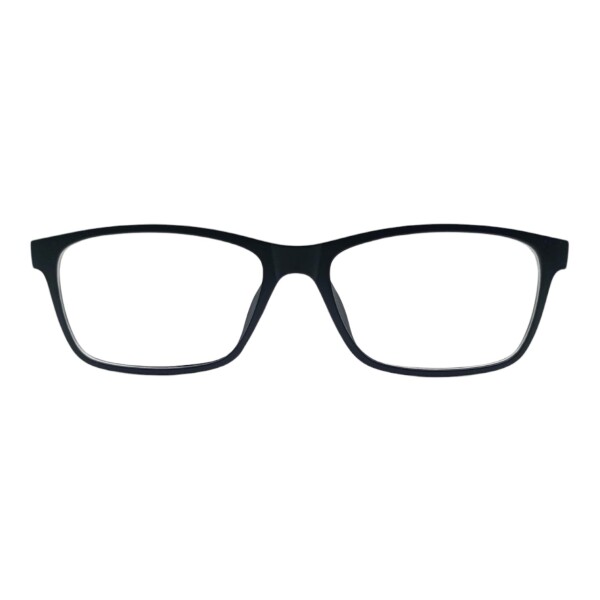 HE221520 negrouniforme