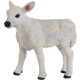 Ternero Pardo Suizo 161729 - Safari - Ternero Pardo Suizo 161729 - Safari -
