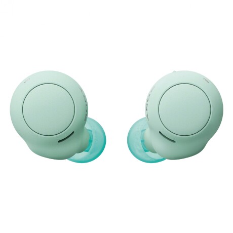 AUDÍFONOS IN EAR CON MICRÓFONO SONY TRUE WIRELESS WF-C500 BLANCO