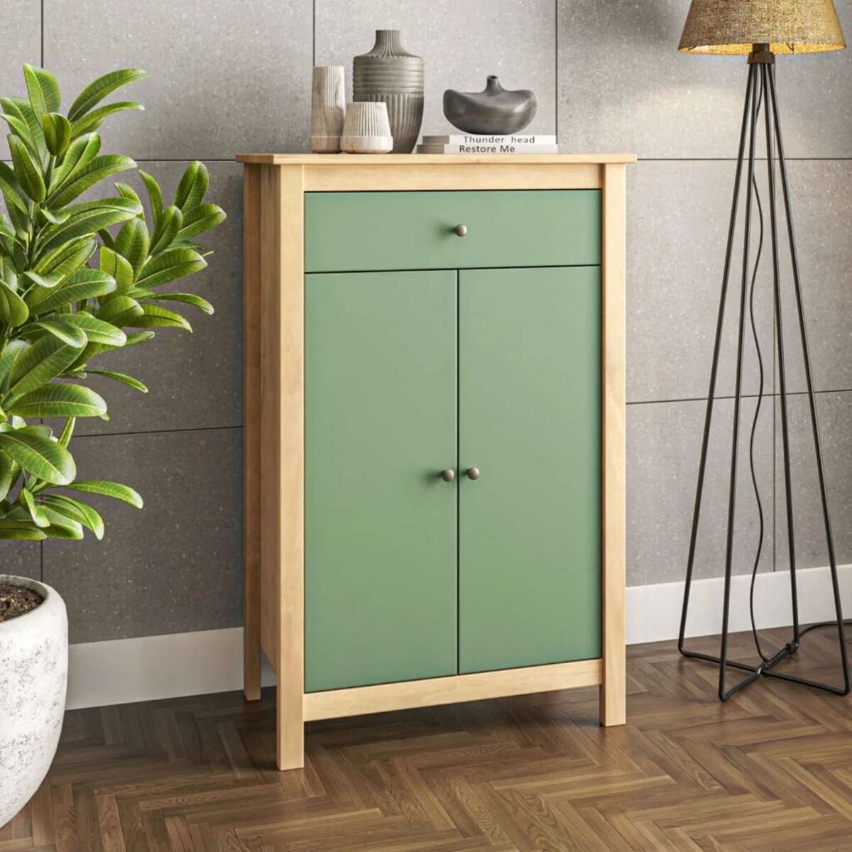 Zapatera 2 Puertas 1 Cajion Mari - Verde 