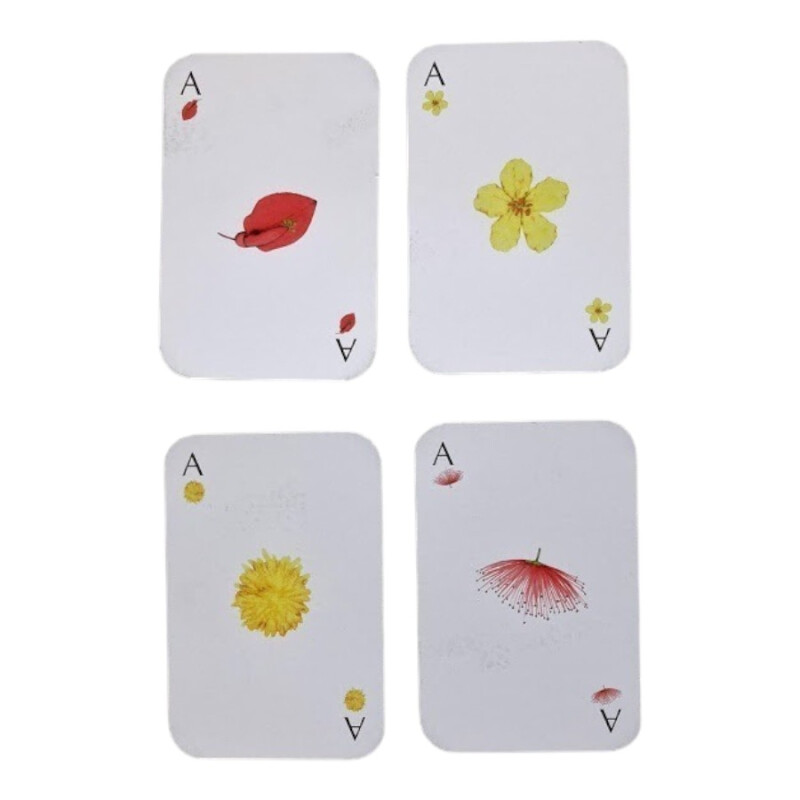 Juego de Cartas Flora Nativa del Uruguay Pika Juego de Cartas Flora Nativa del Uruguay Pika