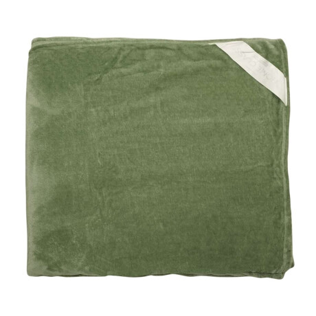 Frazada Flannel 2 Plazas Home Class 200 x 240 cm Verde