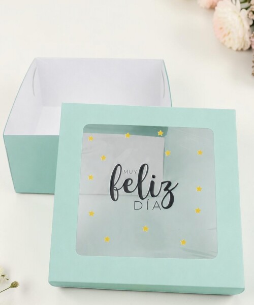 Caja flexi 20x20x9,5. c/visor impreso VERDE AGUA - ESTRELLAS