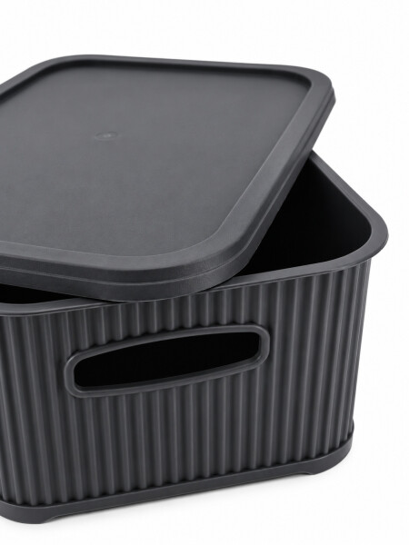 CAJA ORGANIZADORA C/ TAPA NEGRO.